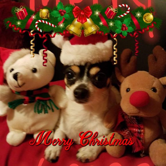 Meet your Posher, Lisa - Picture 1 of 1